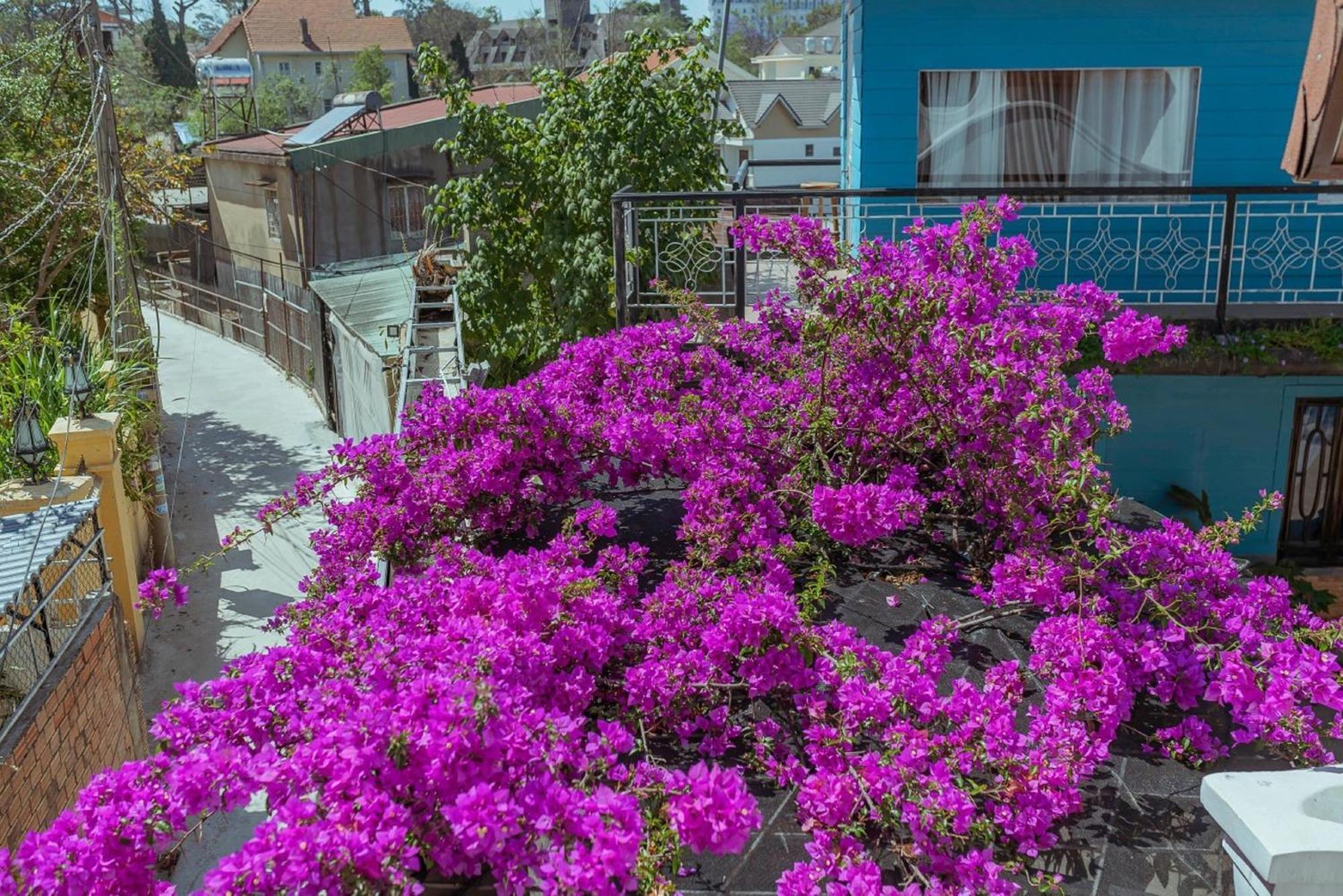Mhome Đà Lạt Extérieur photo